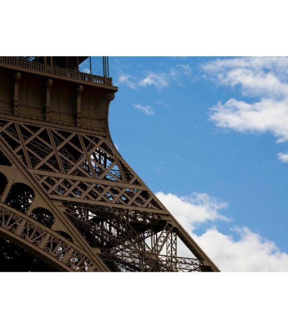 Eiffel Tower ascent to 2nd floor Entrance with assistance + audio guide